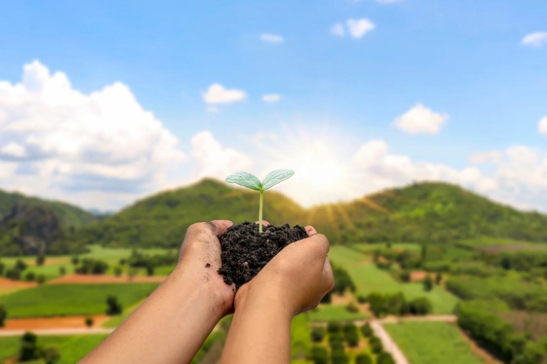 La catena di sostenibilità nell’agroalimentare